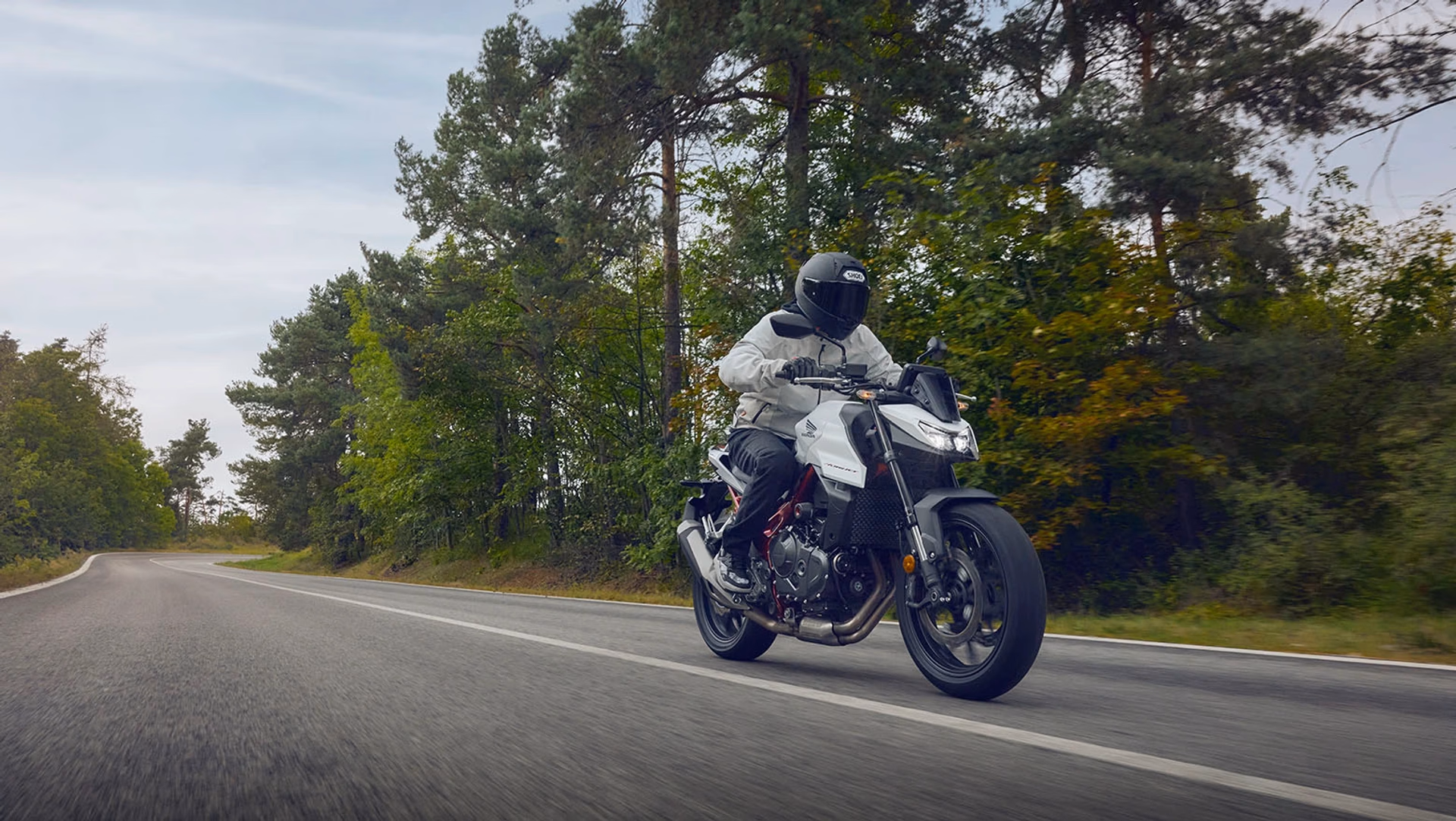 Moto Hornet 750 Galeria de Fotos - 9 de 20